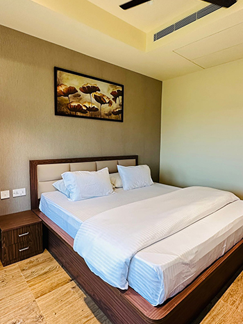 Standard Suite